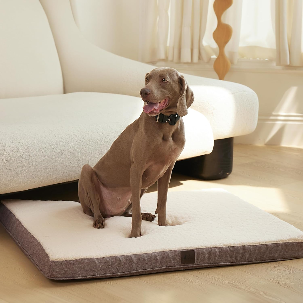 DaysU Dog Bed for Extra Large Dogs, Orthopedic Dog Beds with Removable Washable Cover, XL Egg Crate Foam Pet Bed Mat, Brown, Suitable for Dogs Up to 100 Ibs, 44x32x3in